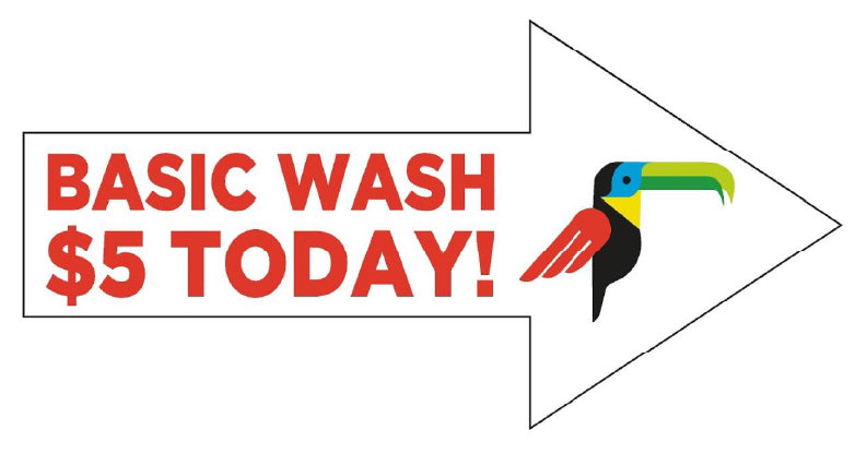 Basic Wash $5 Today 10mm Coroplast Sign - Double-sided