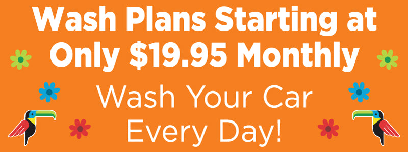 Wash Your Car Every Day Banner