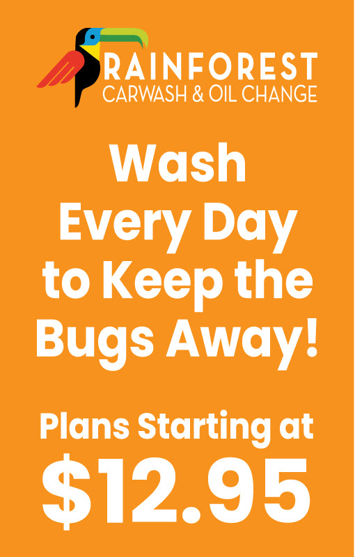 Wash Every Day Windmaster Insert